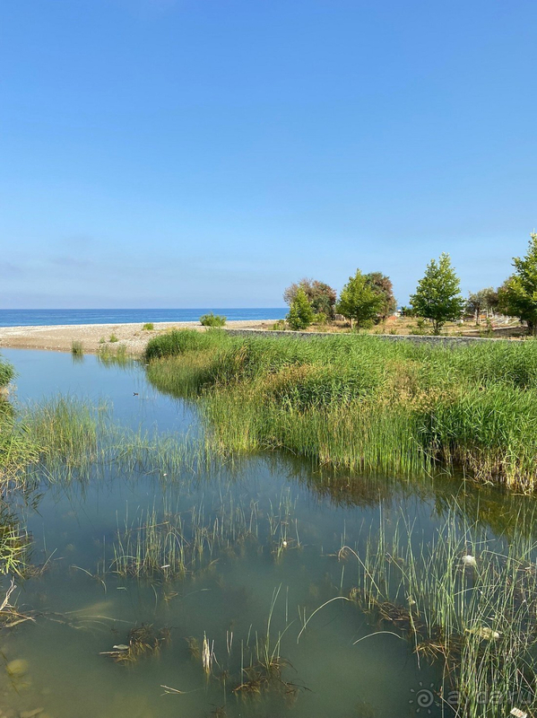 Отель превзошел наши ожидания!