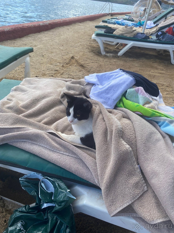 В общем все понравилось и все супер