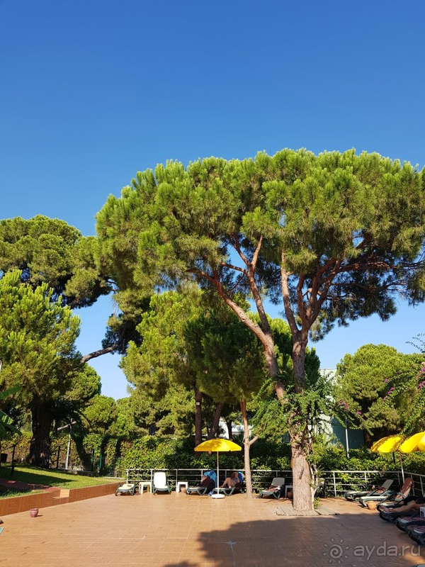 Отдых в Маритим Пайн Бич в пандемию