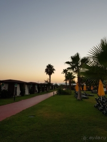 Отдых в Маритим Пайн Бич в пандемию