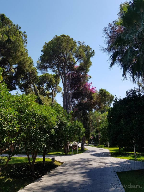 Отдых в Маритим Пайн Бич в пандемию