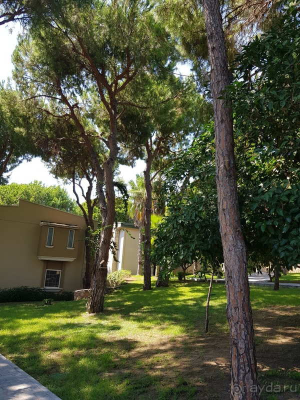 Отдых в Маритим Пайн Бич в пандемию