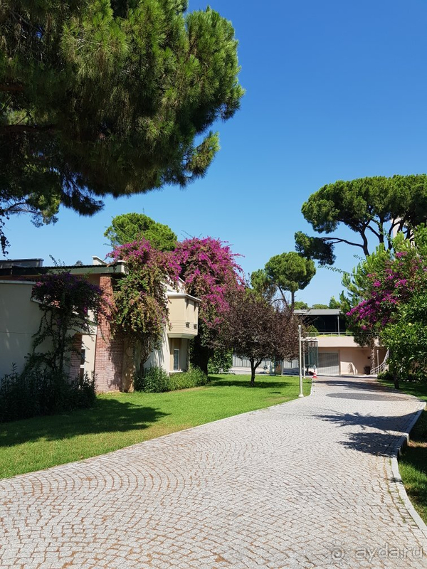 Отдых в Маритим Пайн Бич в пандемию