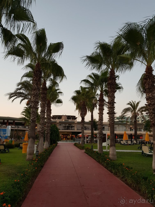 Отдых в Маритим Пайн Бич в пандемию