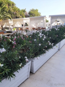 фото Titanic Deluxe Lara