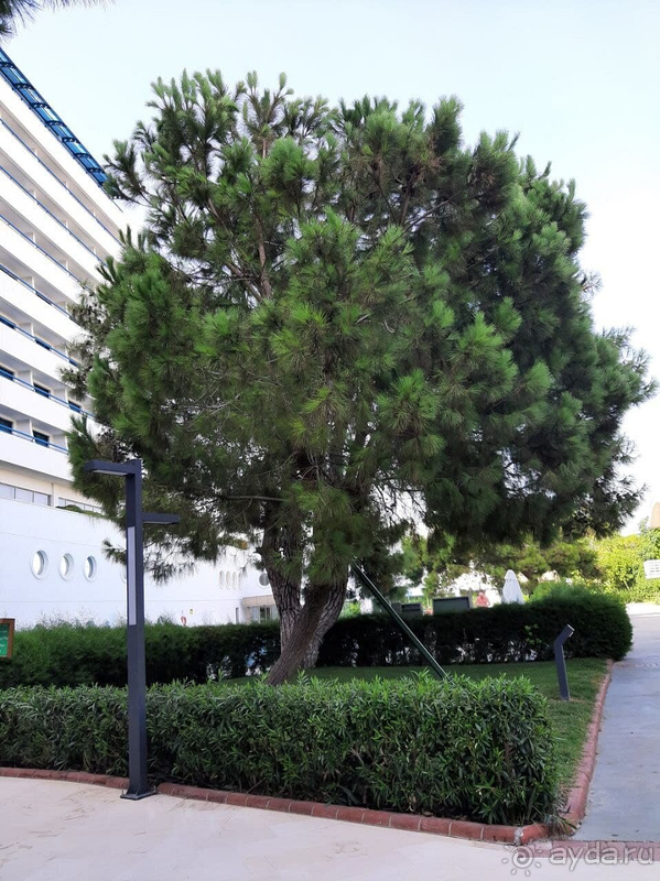 Отдых в этом отеле просто шикарный!