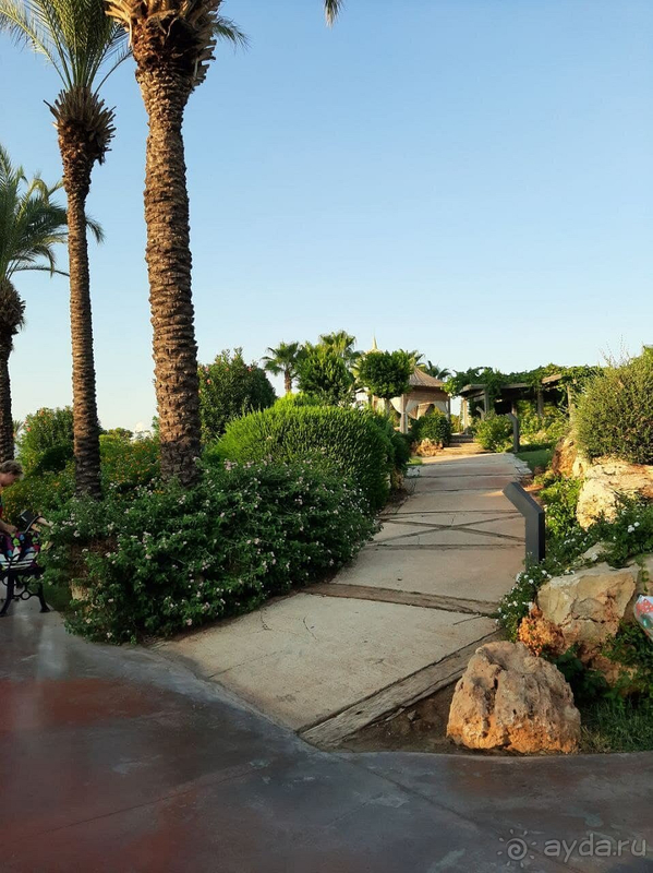 Отдых в этом отеле просто шикарный!