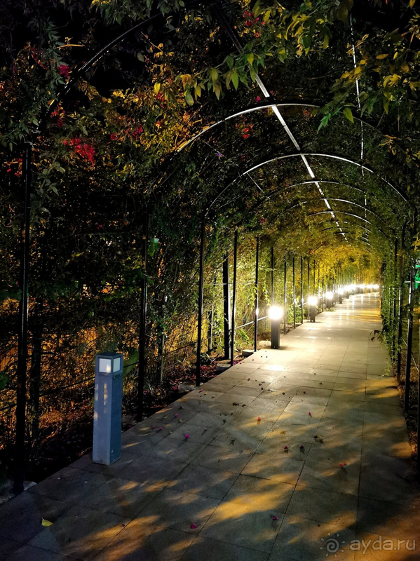 Прекрасно отдохнули в Мармарисе