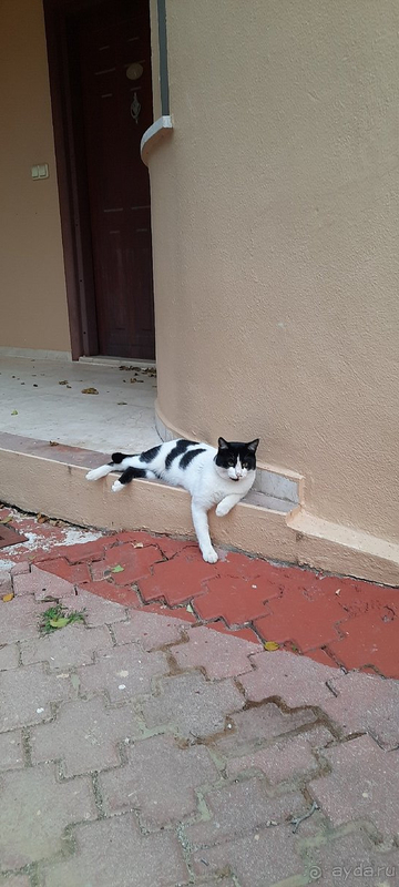 Один из лучших отелей, на мой взгляд, по соотношению цена-качество.