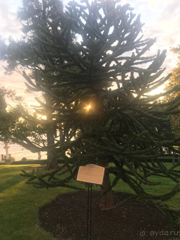 Замечательный отдых в любое время года!