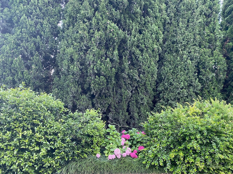 Гармония и уединение