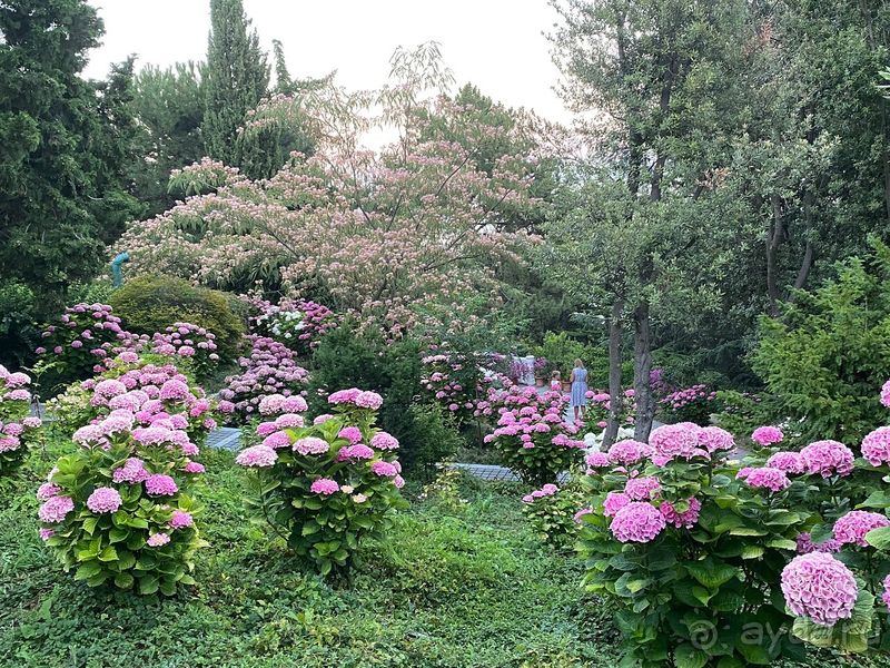 Гармония и уединение