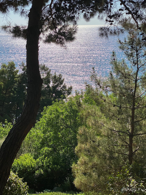 Гармония и уединение