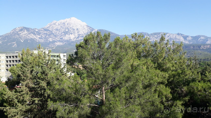 Отель не оправдывает уровня четвёрки.