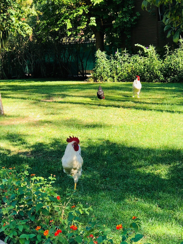 Отдых в Кемере в октябре 2021. Отдых в Кемере в октябре 2021.