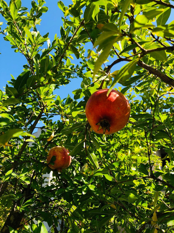 Отдых в Кемере в октябре 2021.