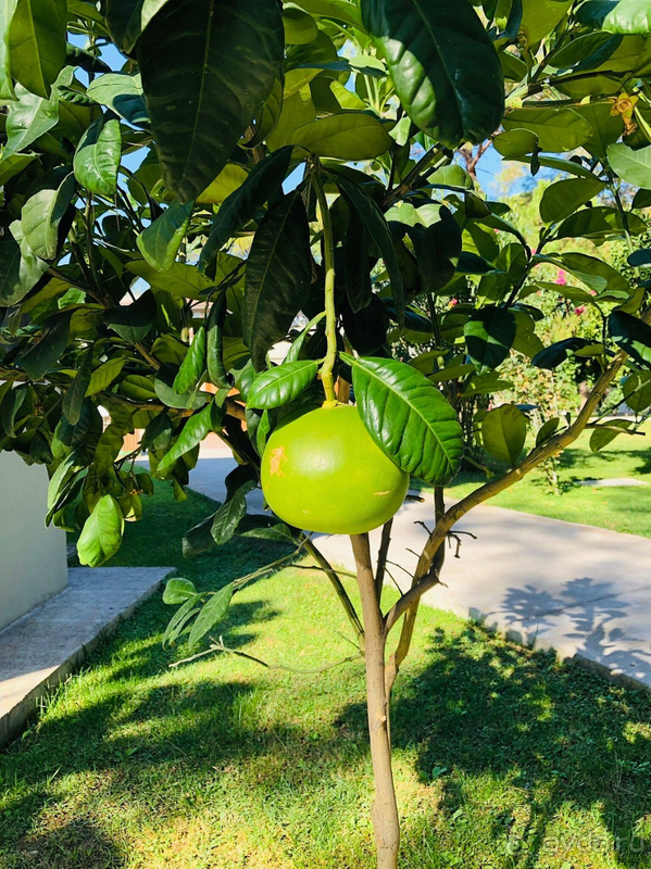 Отдых в Кемере в октябре 2021.