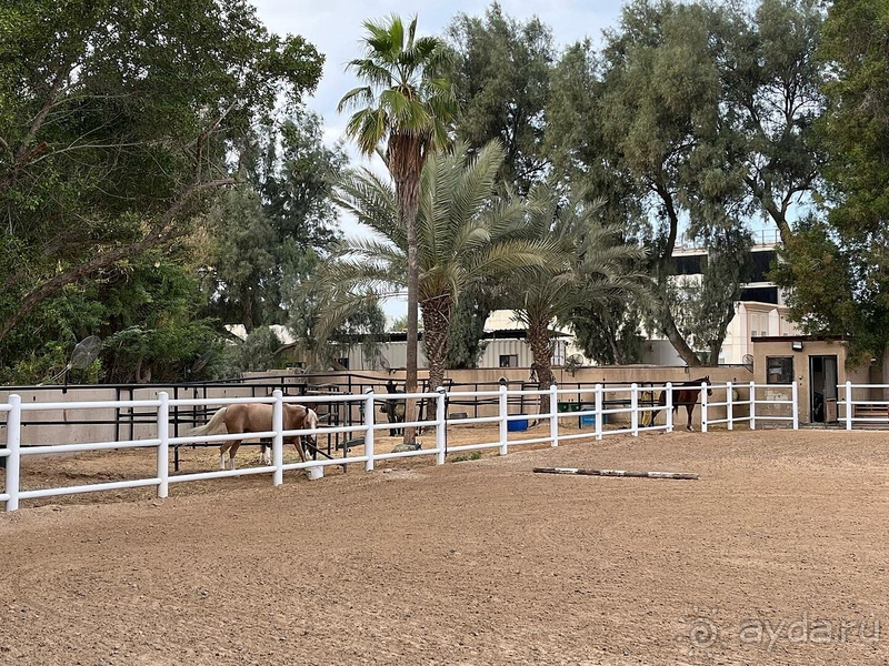 Мы на 100% довольны