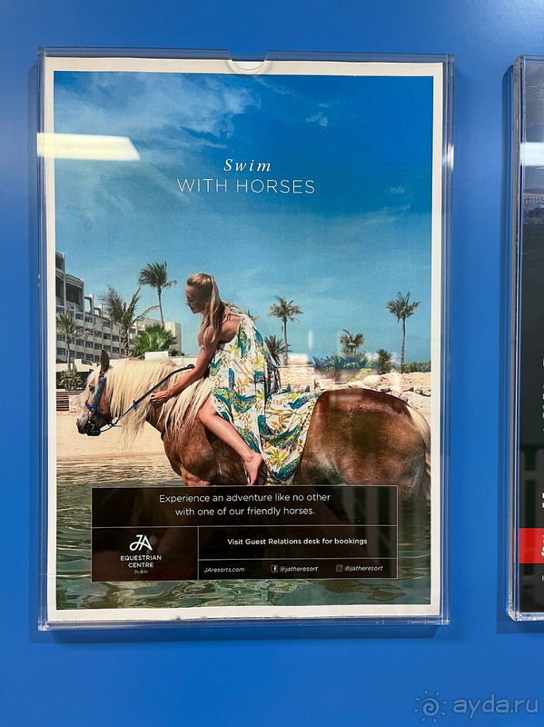 Мы на 100% довольны