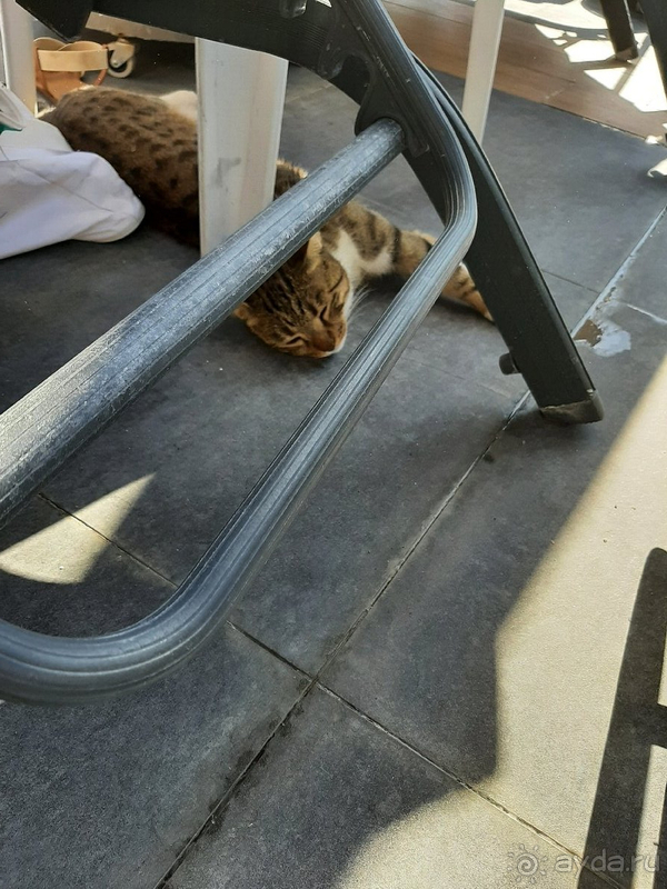 Цена-качество соответствует