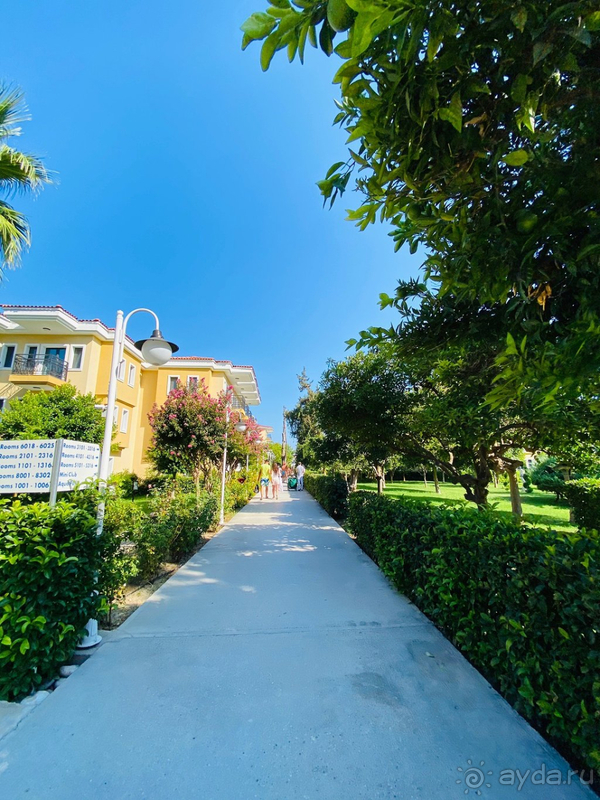 Неплохой отель