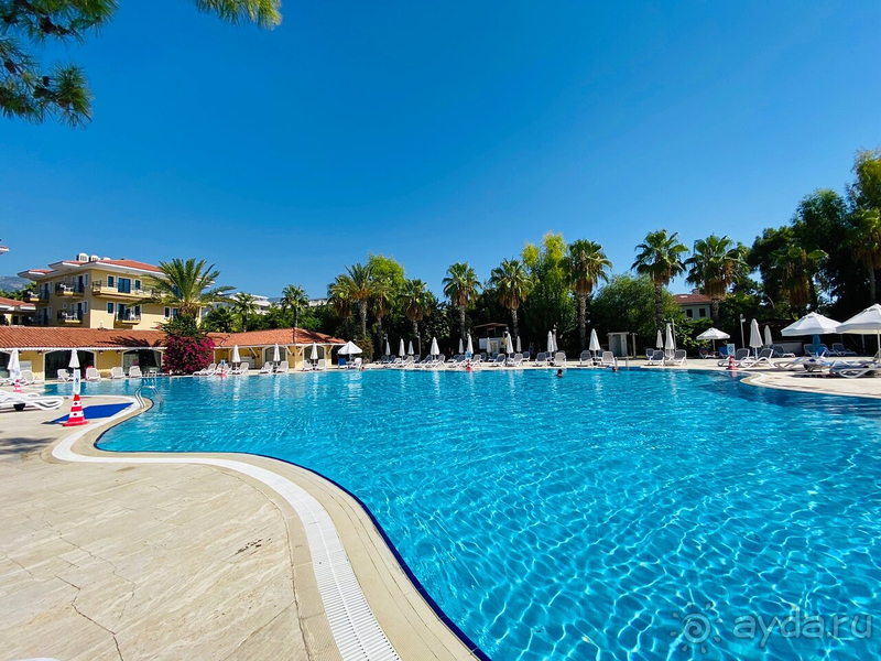 Неплохой отель