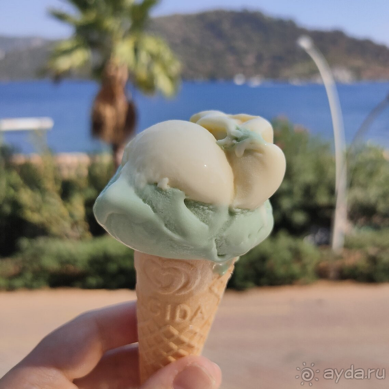 Мы великолепно отдохнули