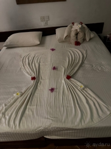 Для первого знакомства со Шри-Ланкой этот отель просто идеальный!