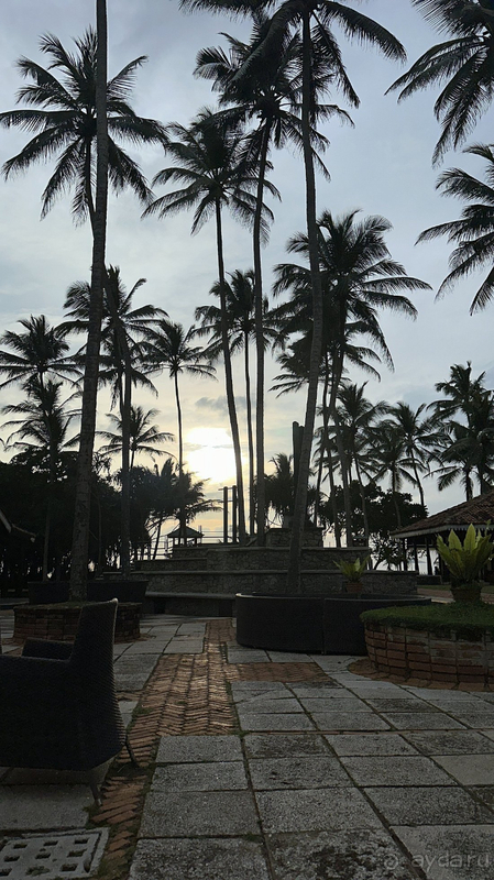 Для первого знакомства со Шри-Ланкой этот отель просто идеальный!