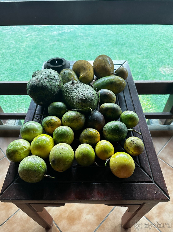 Для первого знакомства со Шри-Ланкой этот отель просто идеальный!