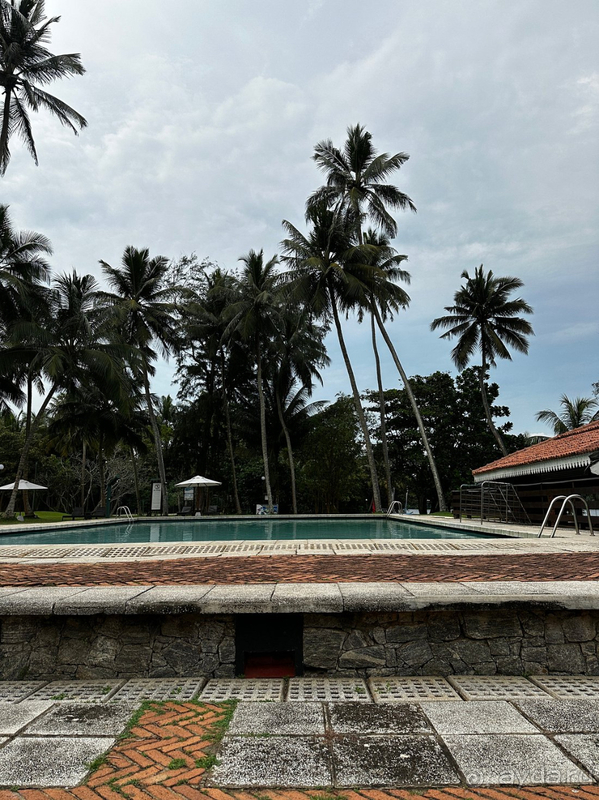 Для первого знакомства со Шри-Ланкой этот отель просто идеальный!