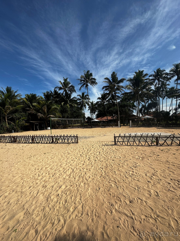 Для первого знакомства со Шри-Ланкой этот отель просто идеальный!