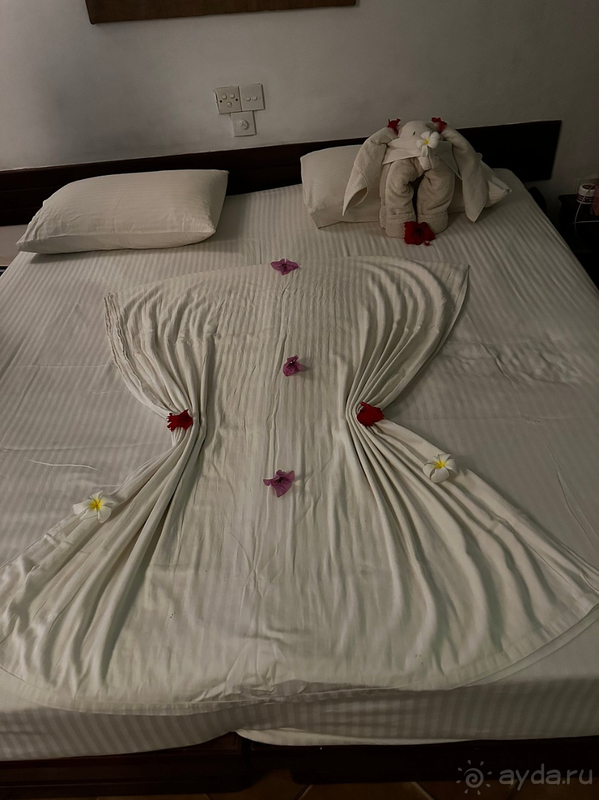 Для первого знакомства со Шри-Ланкой этот отель просто идеальный!