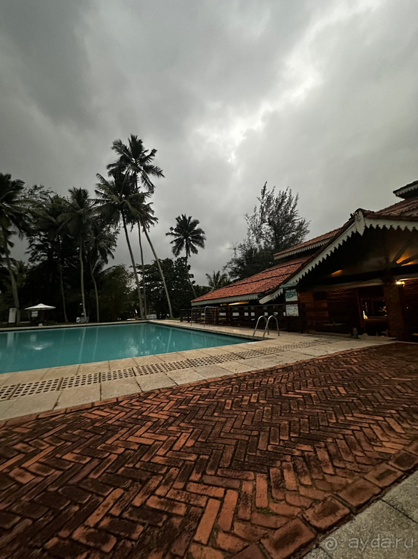 Для первого знакомства со Шри-Ланкой этот отель просто идеальный!