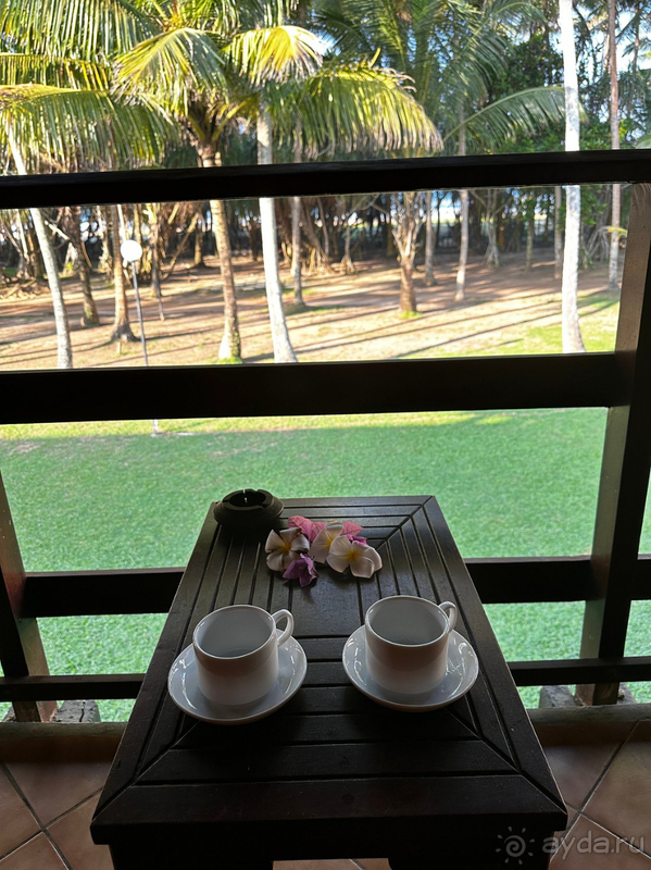 Для первого знакомства со Шри-Ланкой этот отель просто идеальный!