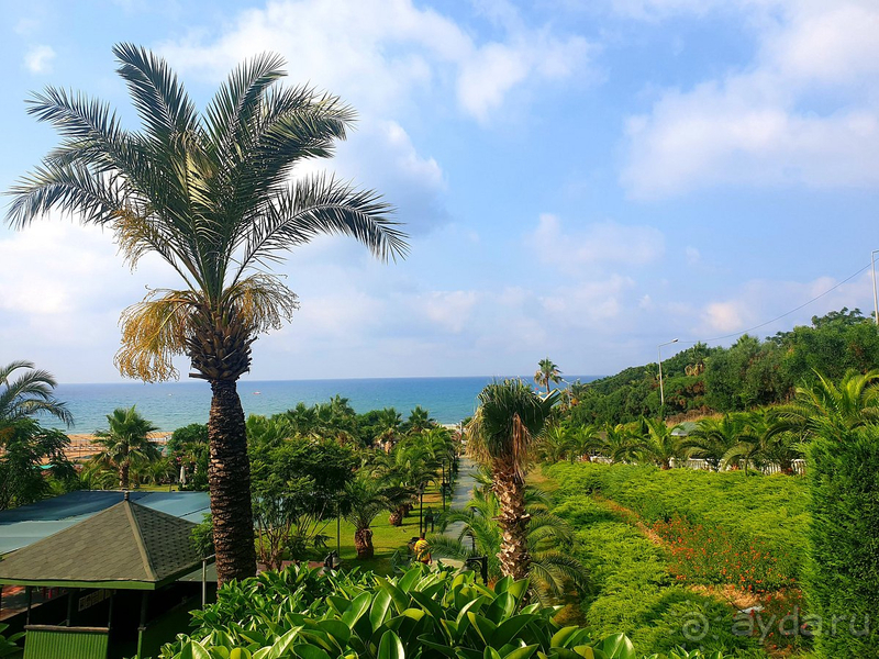 фото Royal Atlantis Spa & Resort