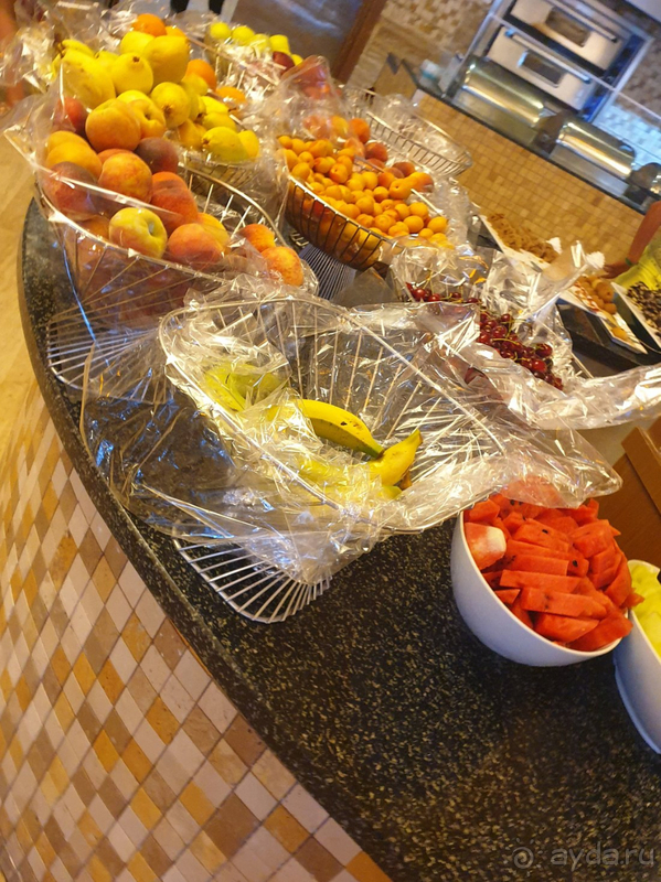 Royal Atlantis Spa & Resort