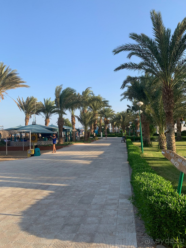 Мы еще вернемся!