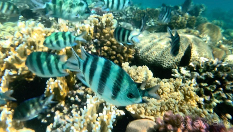 Мы еще вернемся!