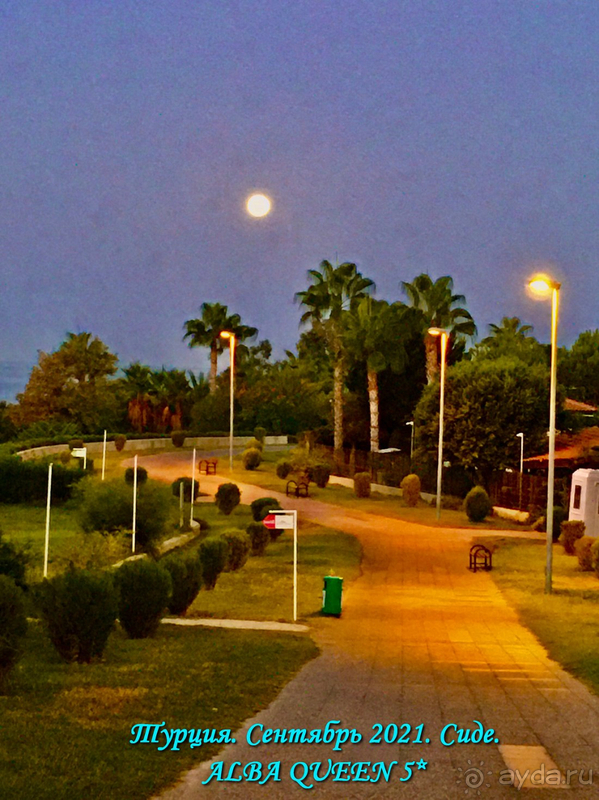 Отель рекомендую для спокойного хорошего отдыха