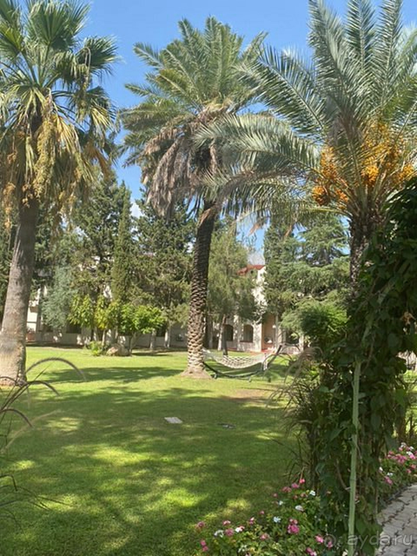 Только положительные эмоции