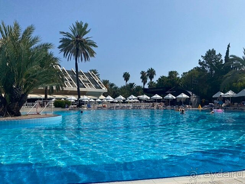 Только положительные эмоции