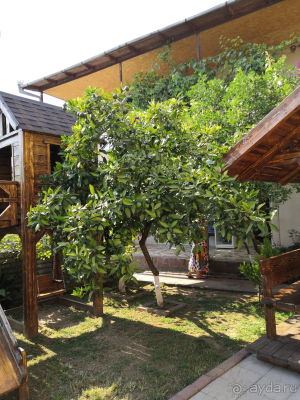 Семейный уютный гостевой дом 