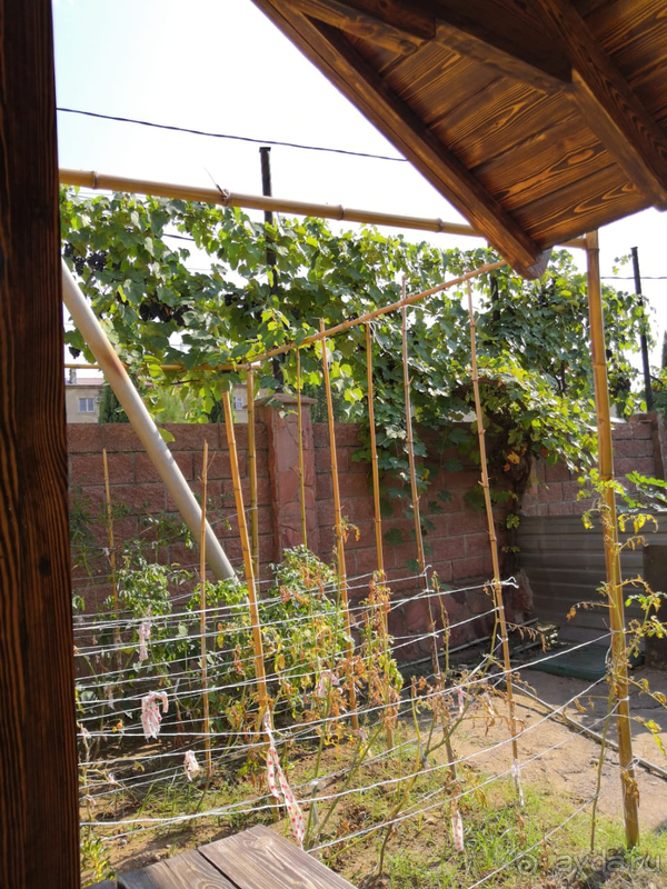 Семейный уютный гостевой дом 