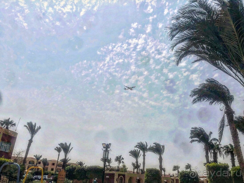 Отдых в Египте Отдых в Египте