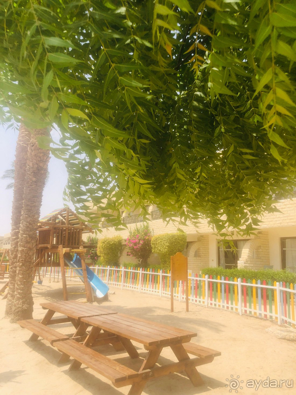 Отдых в Египте Отдых в Египте