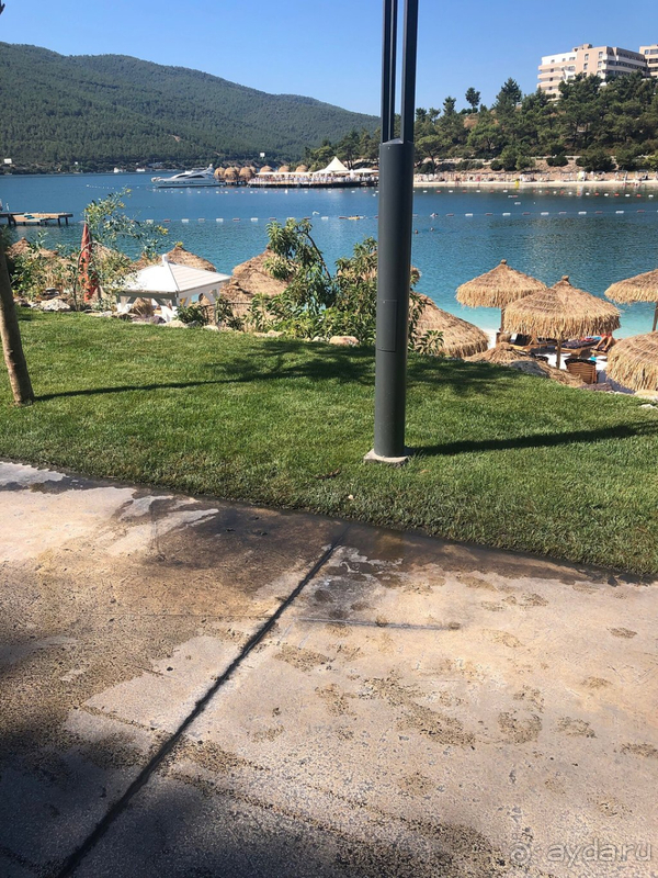 Не стоит этих денег