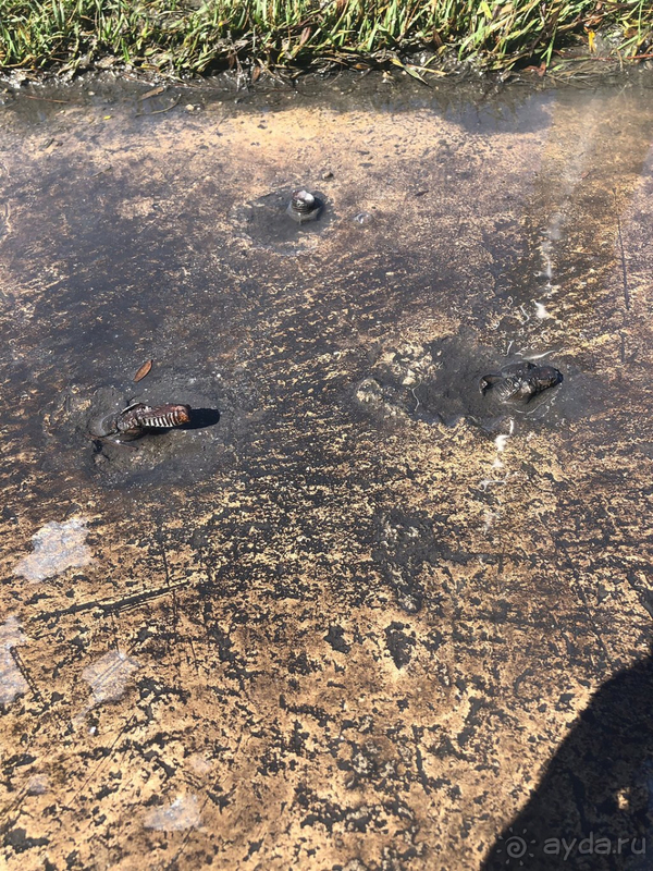 Не стоит этих денег