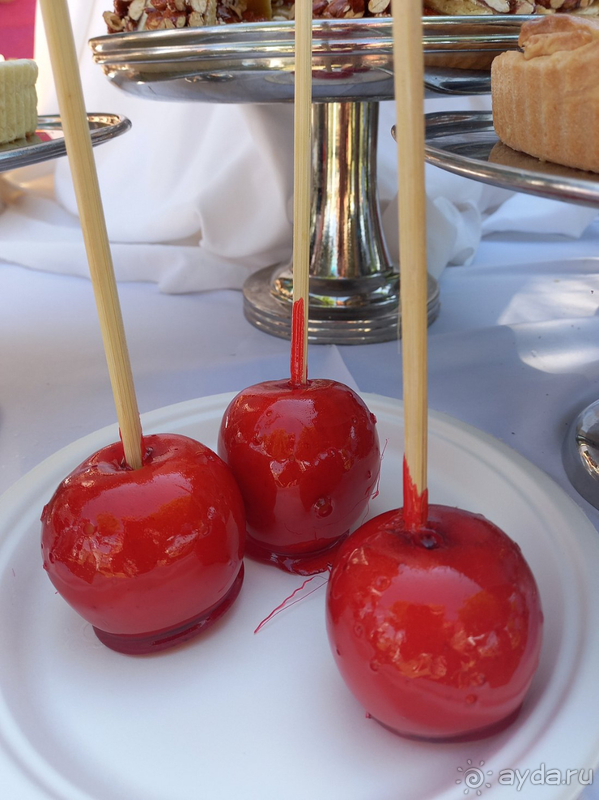 фото Crystal Palace Luxury Resort & SPA