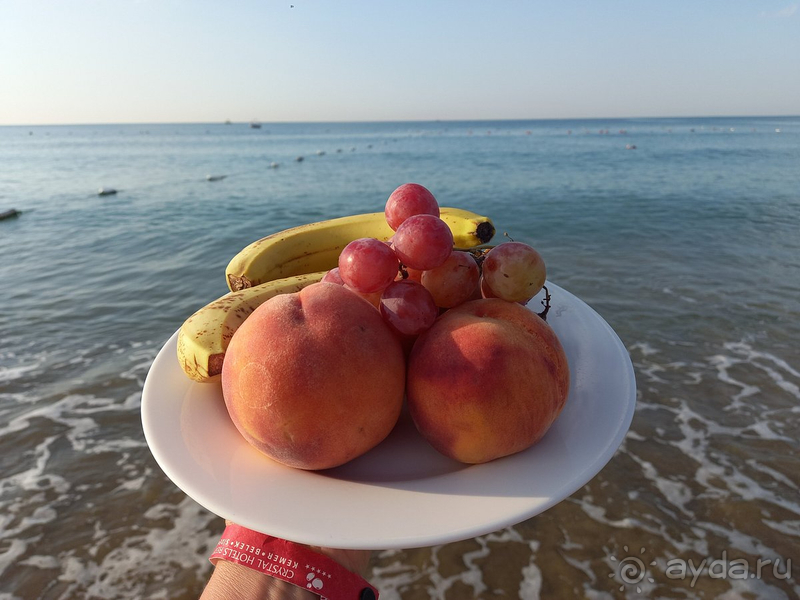 Отдых прошёл хорошо!